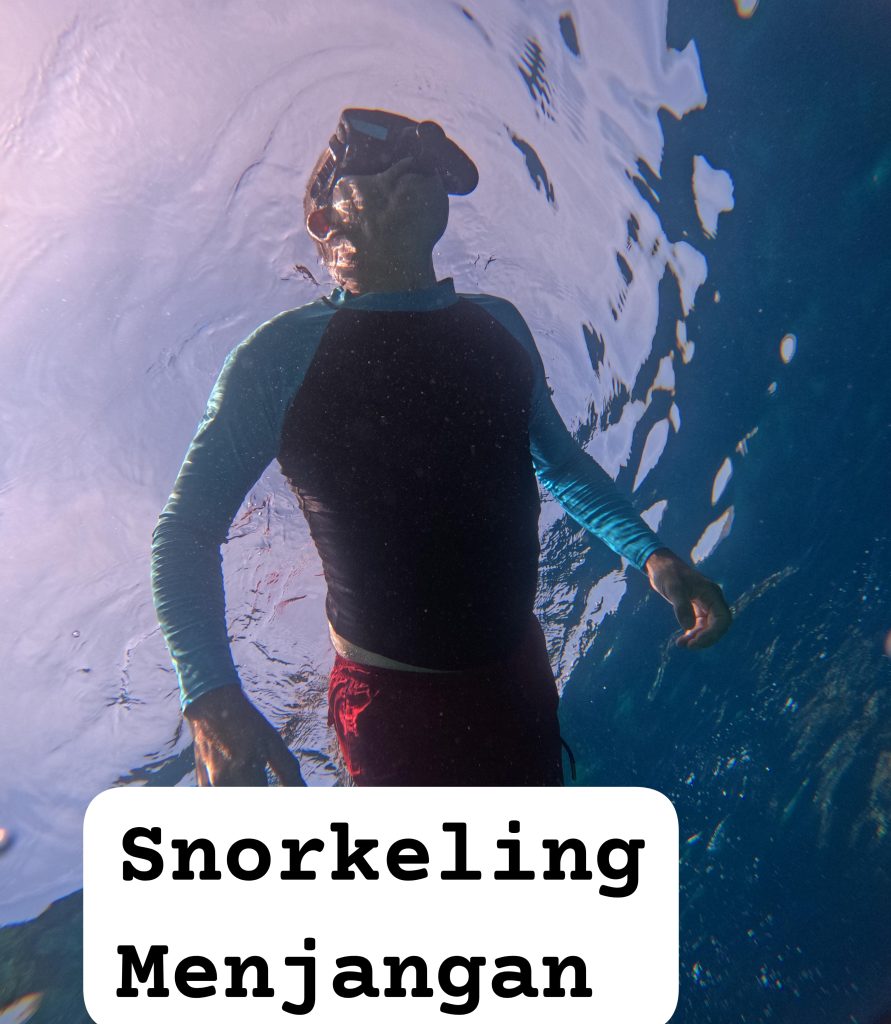 "snorkeling menjangan island"