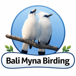 west bali birding