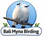 "west bali birding tour"
